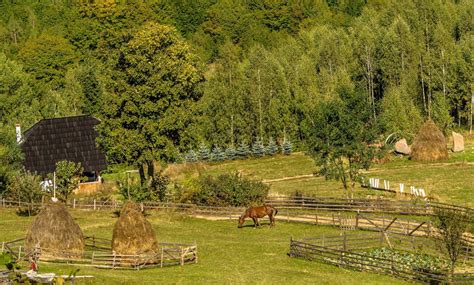 Program de lucru PROFI Sangeorz Bai în Sângeorzu Nou